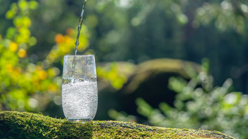 Spring Water vs. Purified Water: Exploring the Differences and Benefits